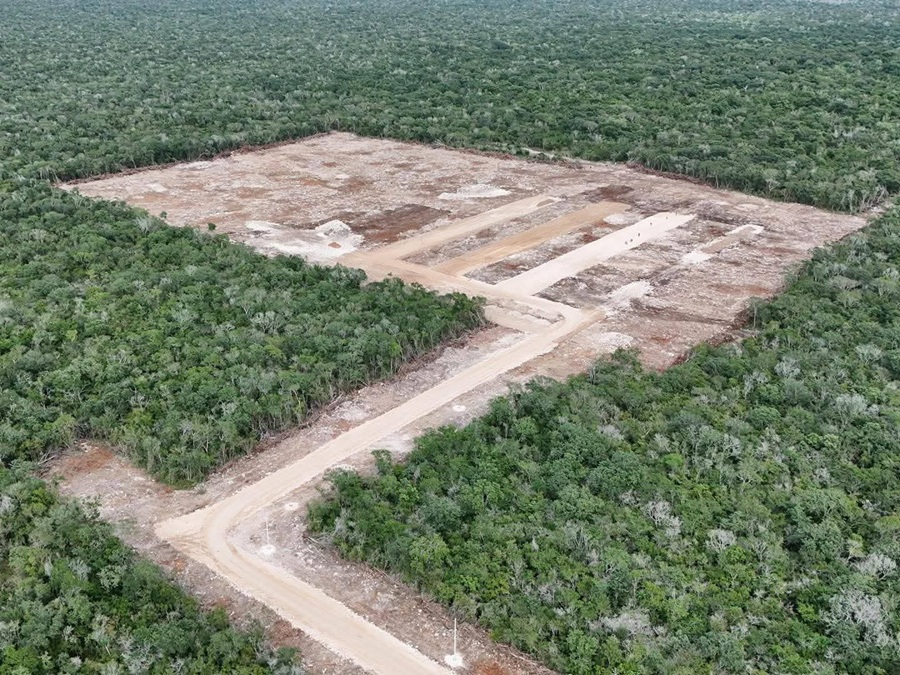 Profepa clausura ampliación de una granja Crío que arrasó vestigios arqueológicos en Kinchil