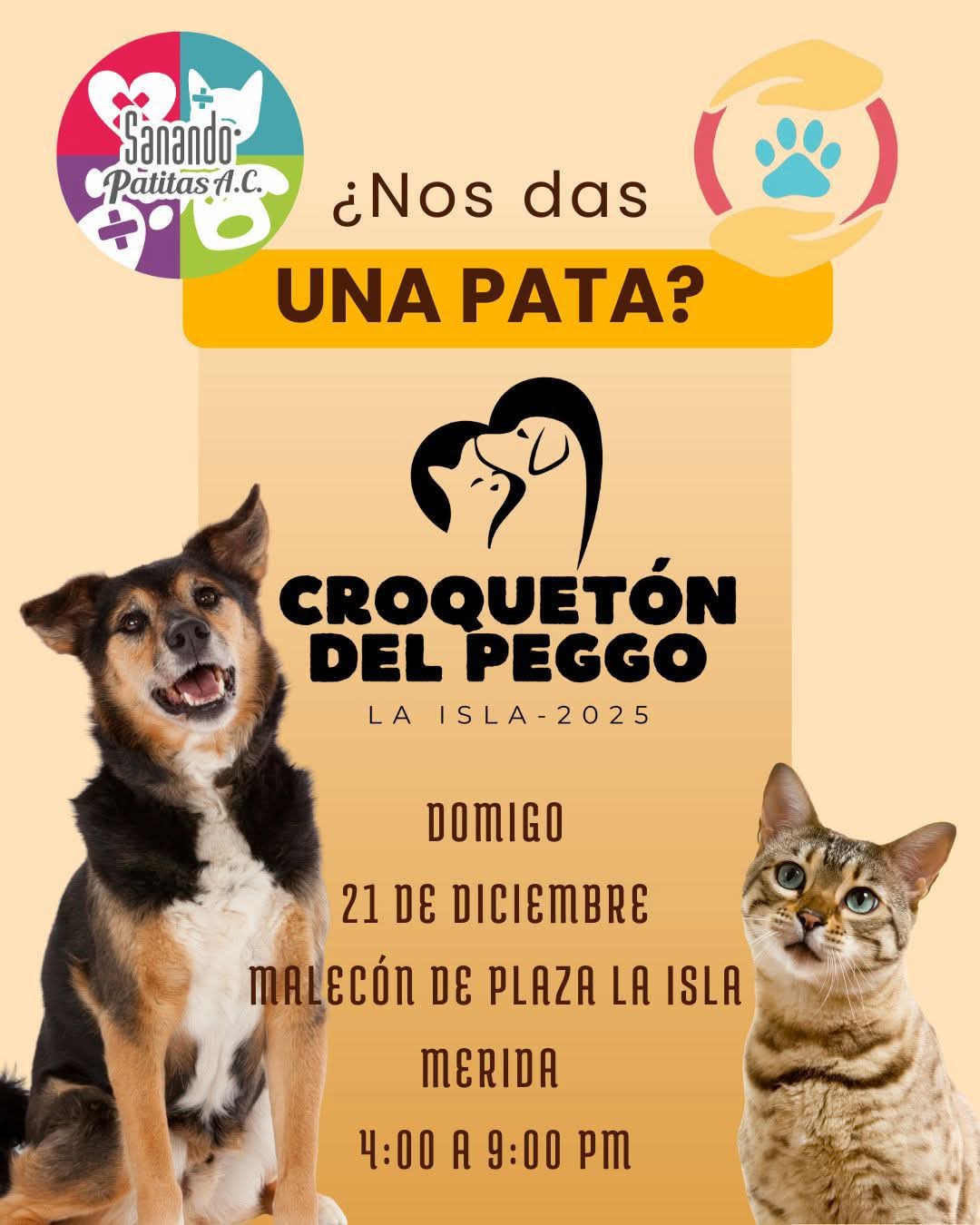 El Croquetón del Peggo convoca a sumarse a una causa en favor de perros en situación de vulnerabilidad