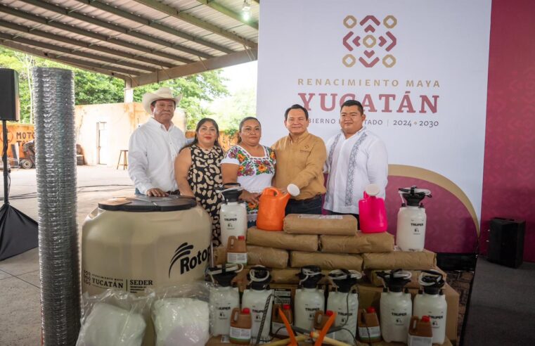 Con múltiples  apoyos, Gobierno de Yucatán hace renacer el campo*