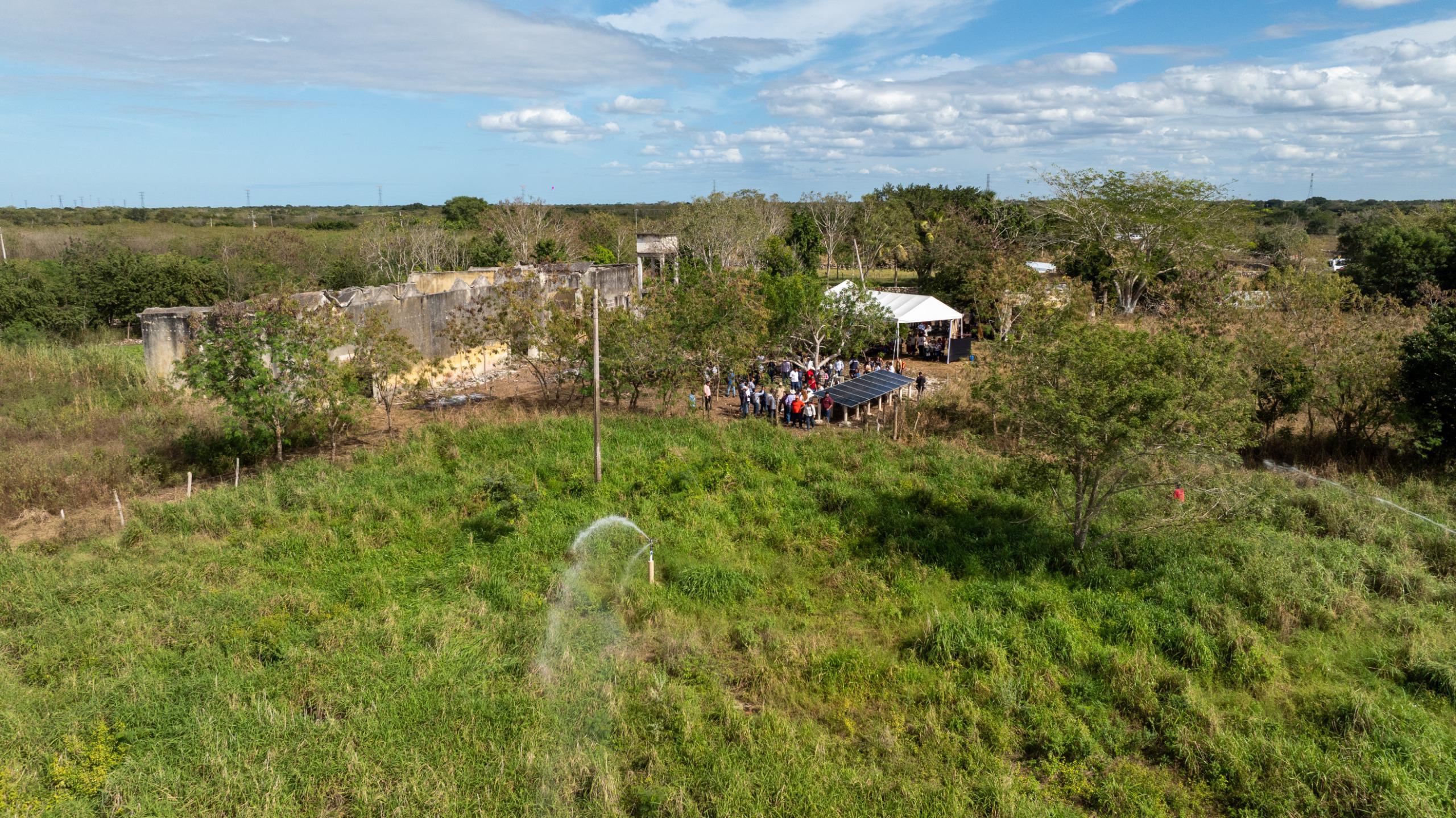 Gobierno de Yucatán fortalece el campo de Dzilam González