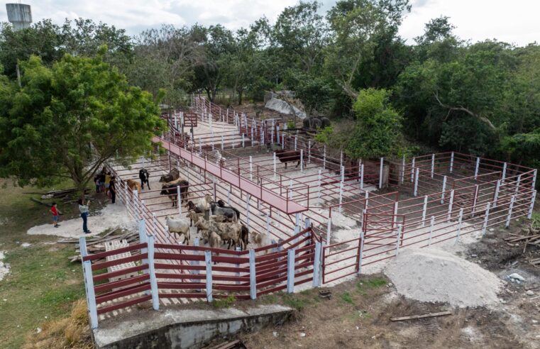 Gobierno del Estado refuerza infraestructura ganadera del Oriente