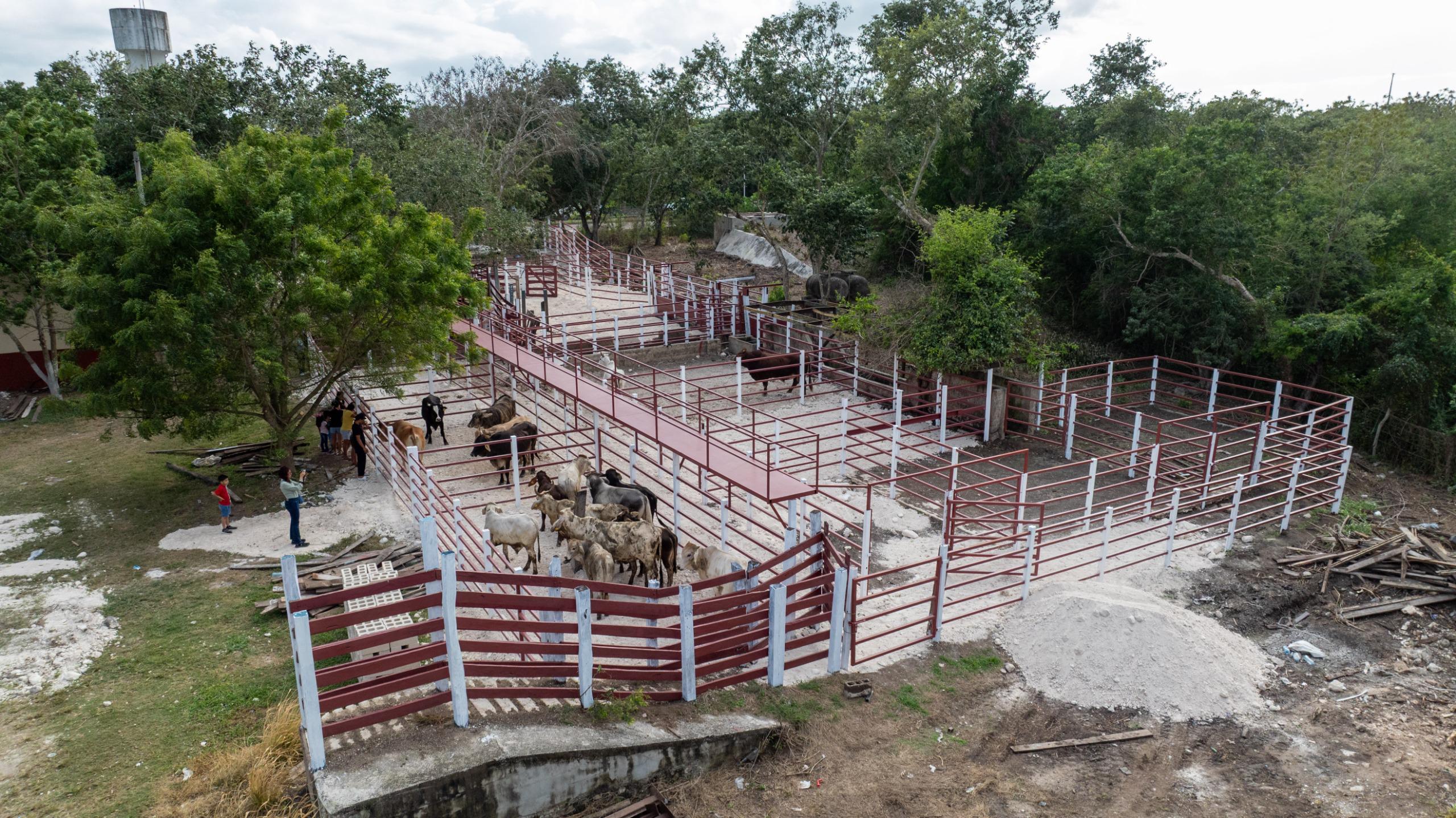Gobierno del Estado refuerza infraestructura ganadera del Oriente
