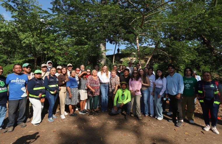 Inicia Cecilia Patrón construcción del primer bio-corredor urbano de Mérida