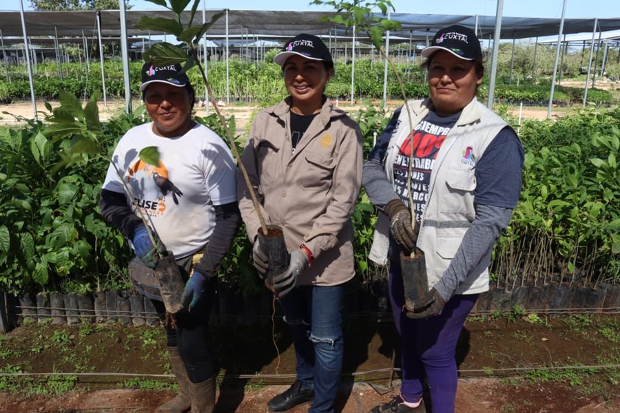 El Ayuntamiento de Mérida invita a donar para proteger el futuro de la Reserva Cuxtal