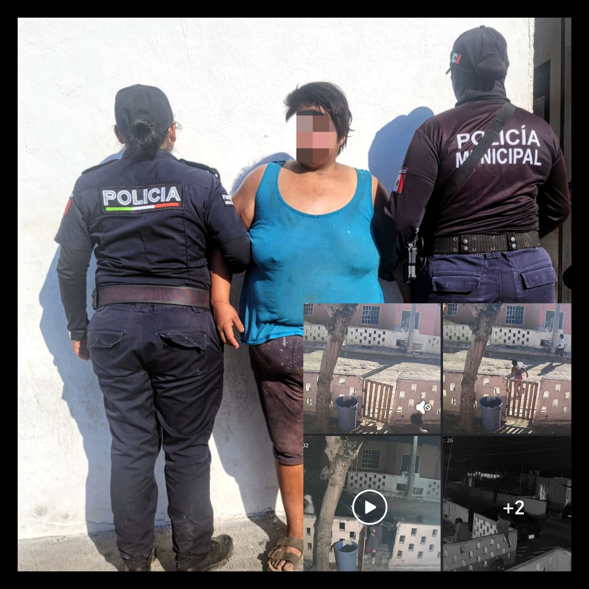 A prisión por robar de una casa un paquete de compra en línea