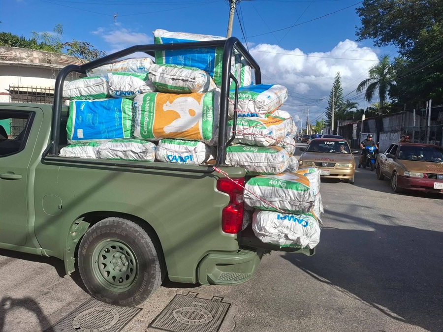 Decomisan 20 toneladas de carbón en una vivienda de Kaua
