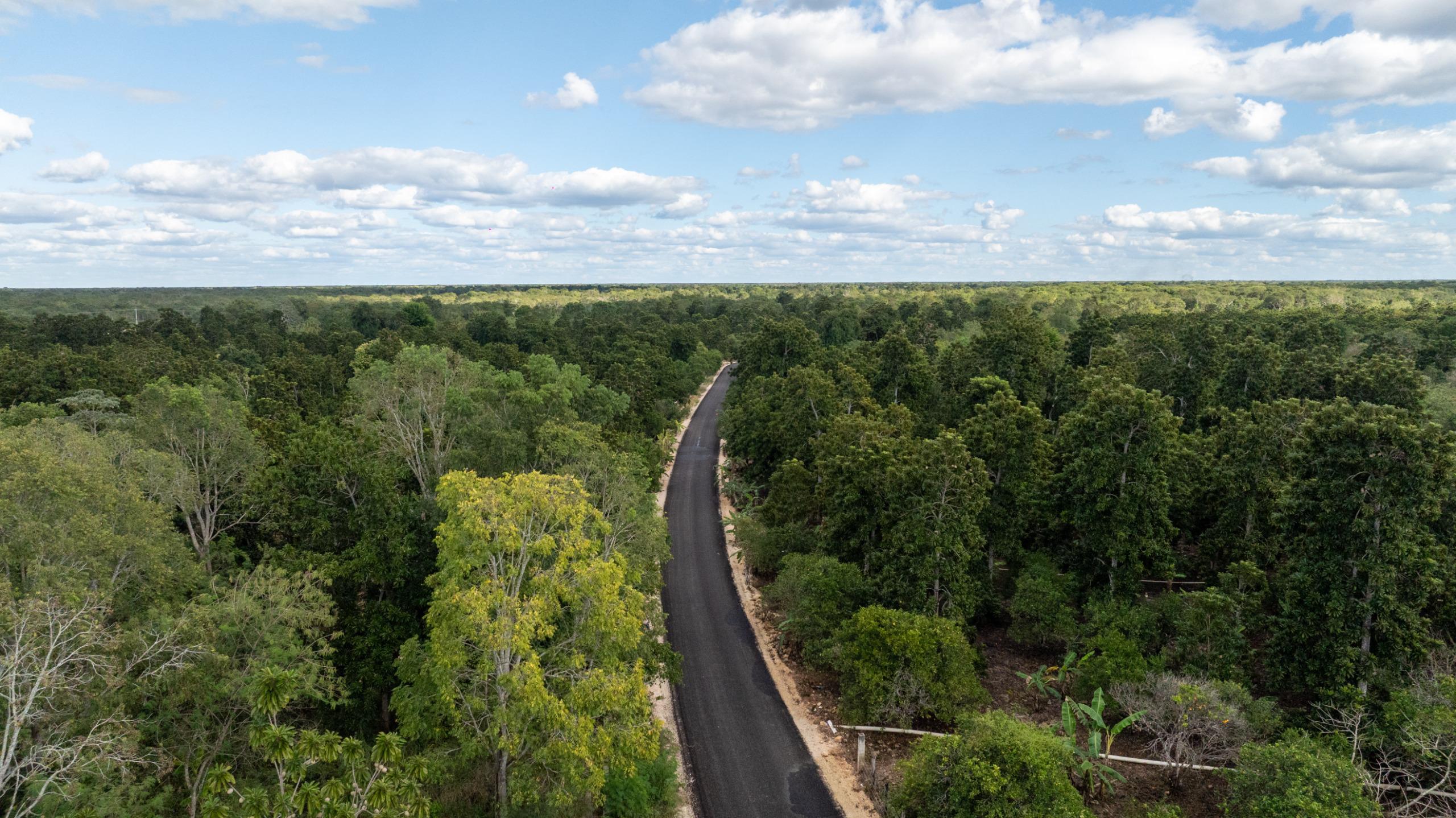 Caminos sacacosechas benefician a 10 mil productoras y productores de Akil 