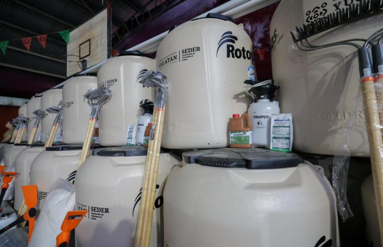 Apoya Renacimiento Maya economía familiar con huertos de traspatio 