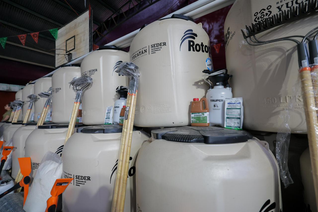 Apoya Renacimiento Maya economía familiar con huertos de traspatio 