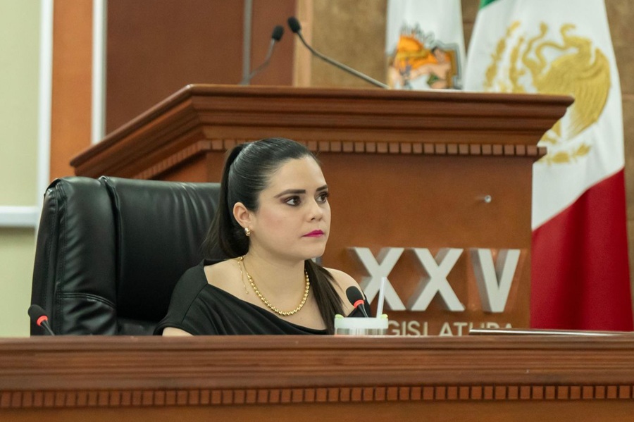 Detienen en una garita a diputada morenista con 800 mil pesos que no declaró