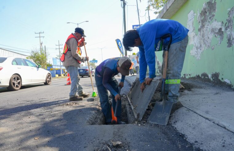 Llegaremos cada vez a más colonias para repavimentar y mantener en orden las calles: Cecilia Patrón.