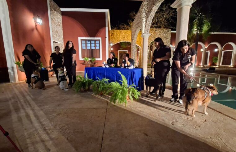 Los reyes caninos humanizan el Carnaval de Mérida 2026