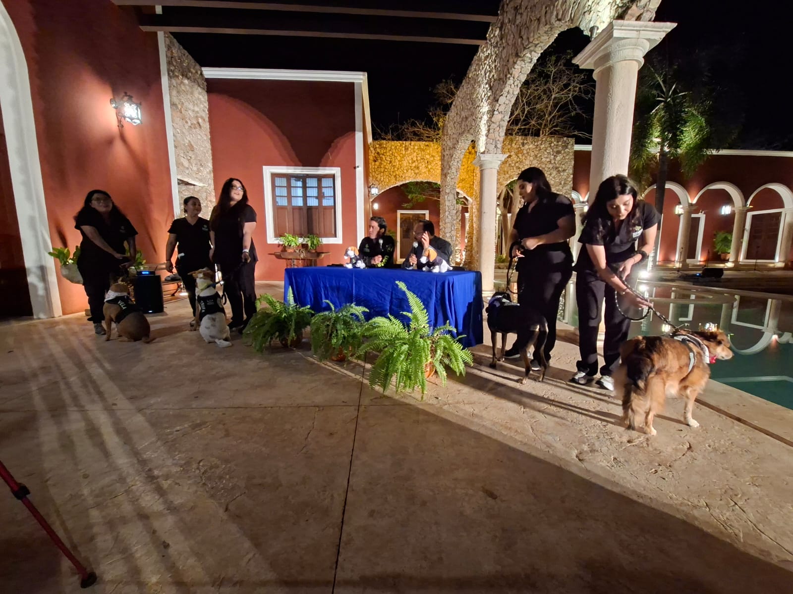 Los reyes caninos humanizan el Carnaval de Mérida 2026