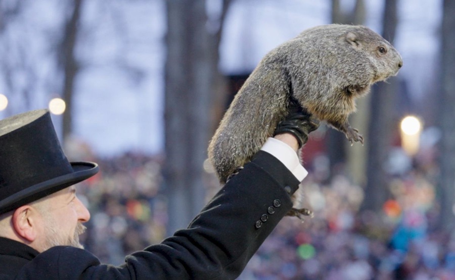 El invierno se prolongará seis semanas más, predice la marmota Phil