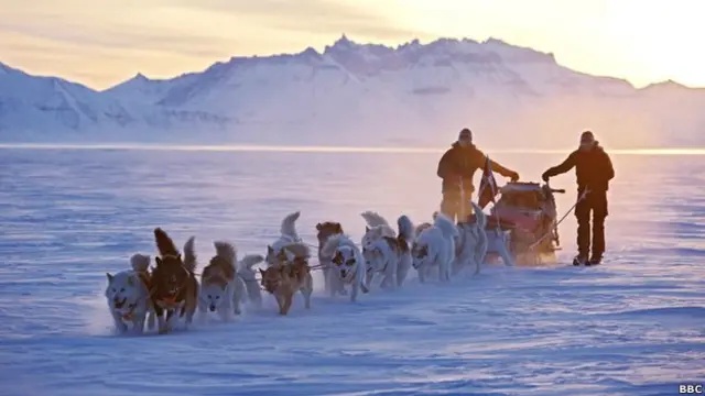 Ni helicópteros ni satélites: los trineos jalados por perros son las mejores patrullas en Groenlandia