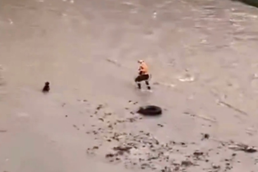 Rescatista muere tras intentar salvar a un perro