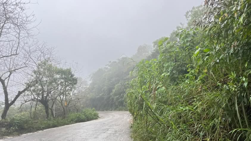Ataque armado contra jornaleros deja des muertos en Palenque, Chiapas