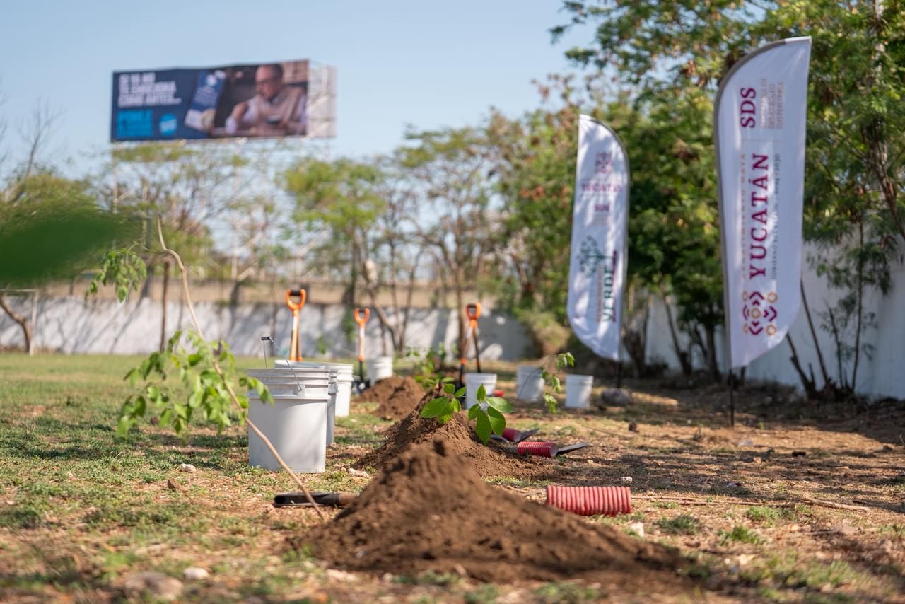Inicia programa “Renacimiento Verde en tu Escuela”, en el sur de Mérida