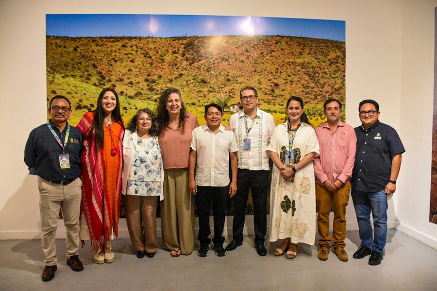 Arte de Baja California, Campeche y Yucatán dialogan en el Museo de la Ciudad