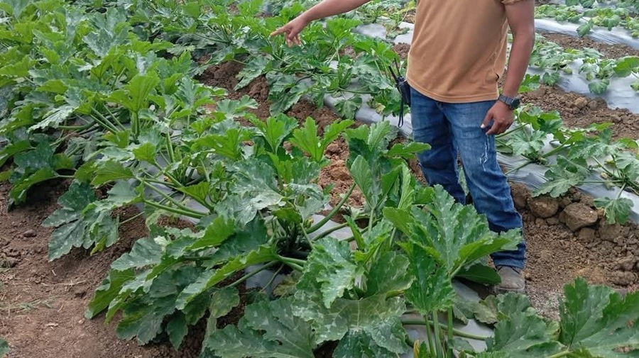 A unos días de que venza el plazo, reiteran el llamado a productores del campo para que regularicen sus concesiones de agua