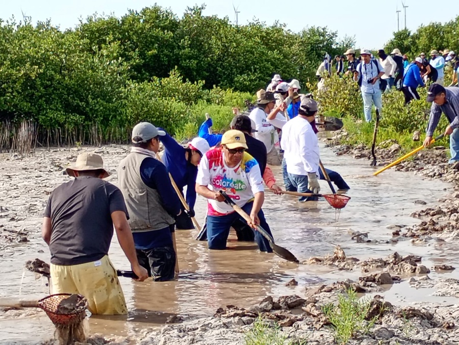Conagua participa en el Día Mundial de la Madre Tierra con restauración de manglar en Yucatán