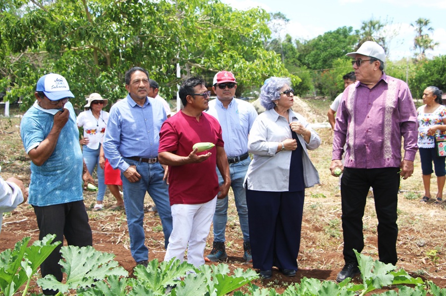Conagua y productores agrícolas destinarán más de 83 mdp para fortalecer el campo yucateco