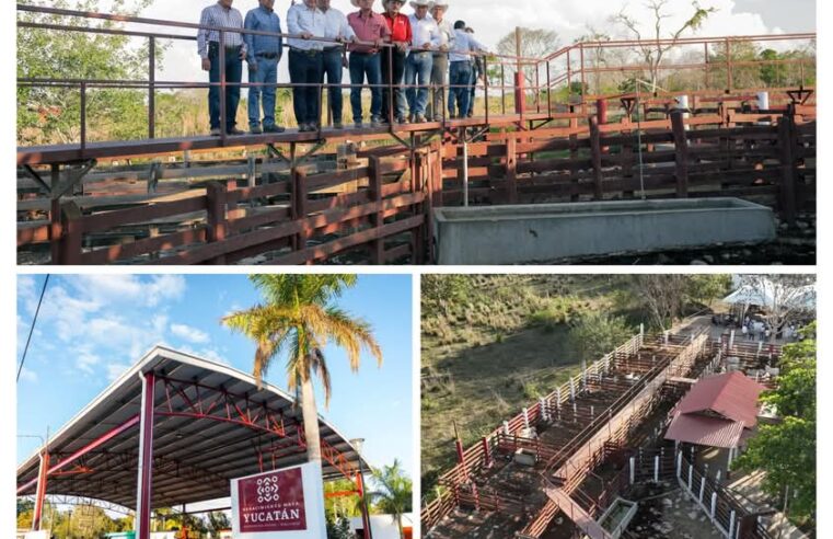 Gobierno del Renacimiento Maya promueve desarrollo rural y social en Panabá