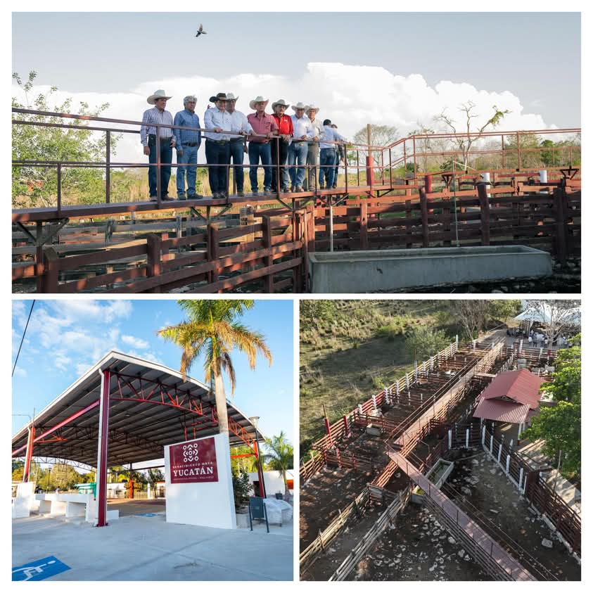 Gobierno del Renacimiento Maya promueve desarrollo rural y social en Panabá