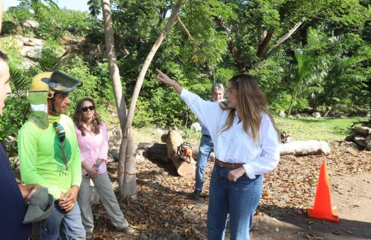 Supervisa Cecilia Patron avances del primer Corredor Verde de Mérida
