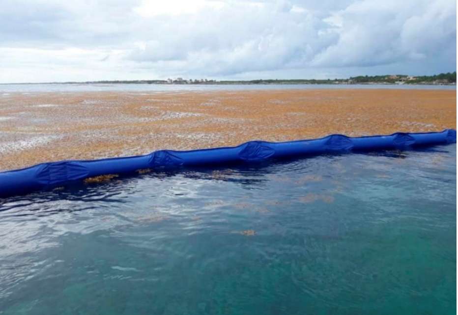 La Secretaria de Marina instala mega barrera antisargazo en Playa del Carmen