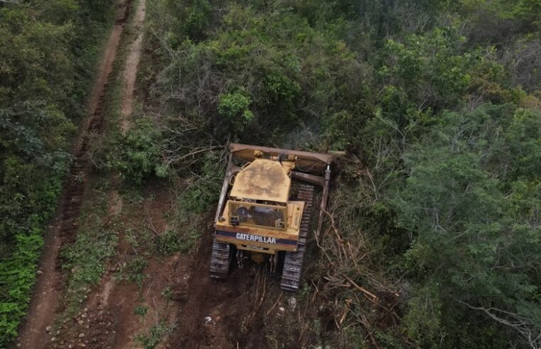 Logran vinculación a proceso por delitos ambientales en la Reserva Cuxtal