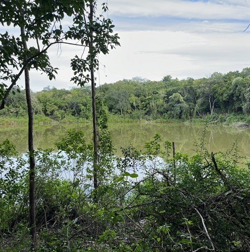Dos menores desaparecen en una aguada entre Izamal y Tekal de Venegas