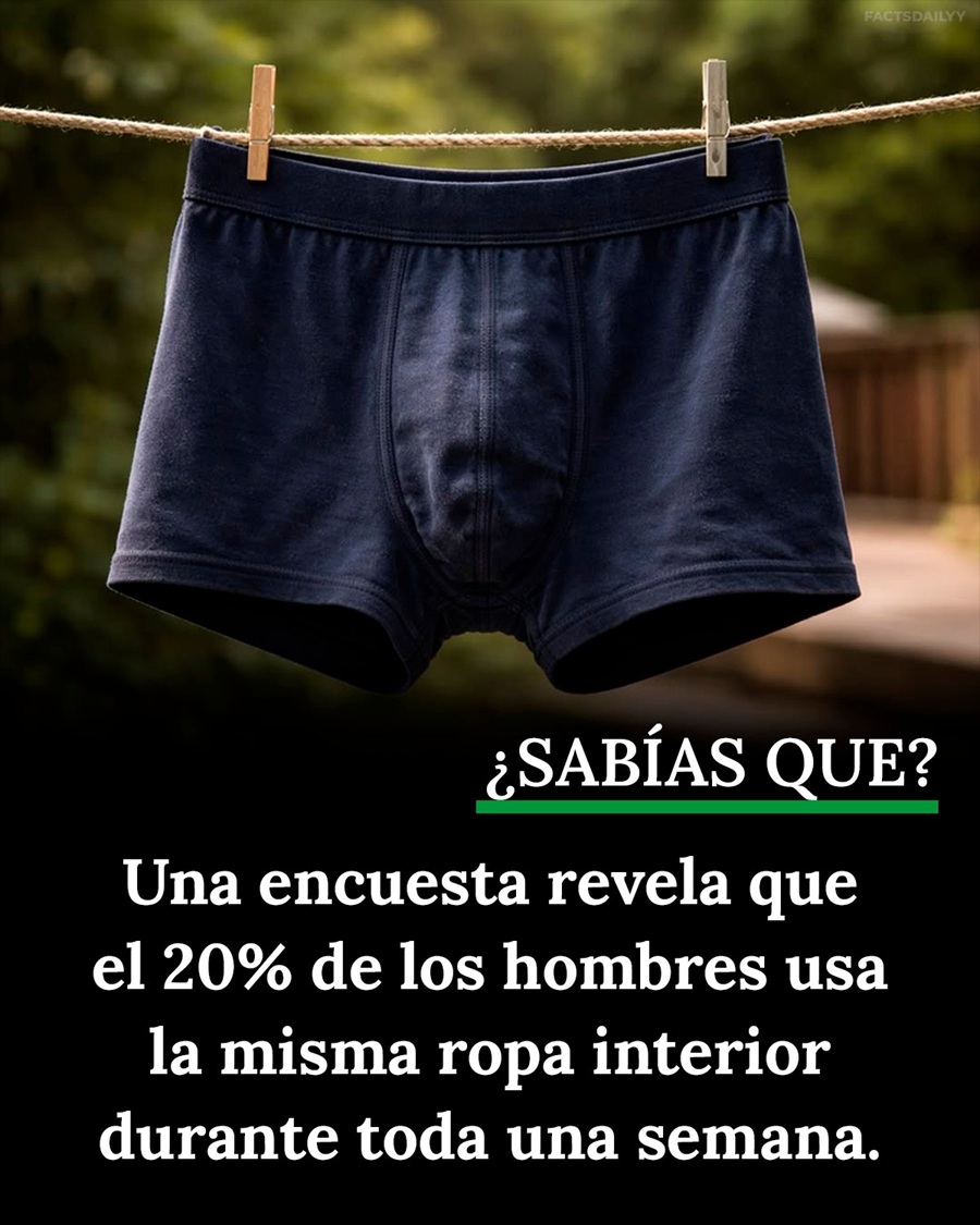 El 20 por ciento de los hombres usa la ropa interior toda una semana, revela encuesta