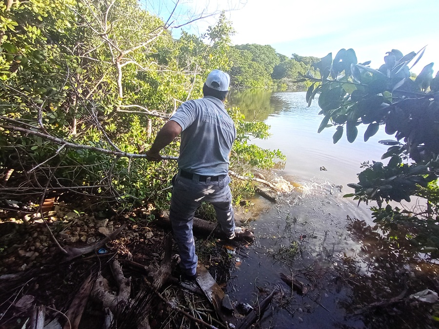 Conagua realiza acciones preventivas en el estero Ciénega de Progreso ante la temporada de lluvias