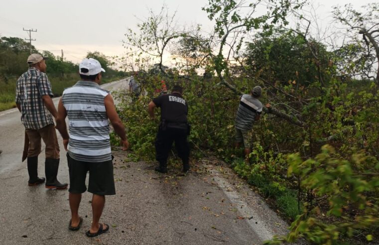 SSP atiende múltiples afectaciones por lluvia y vientos en Mérida y el interior del estado