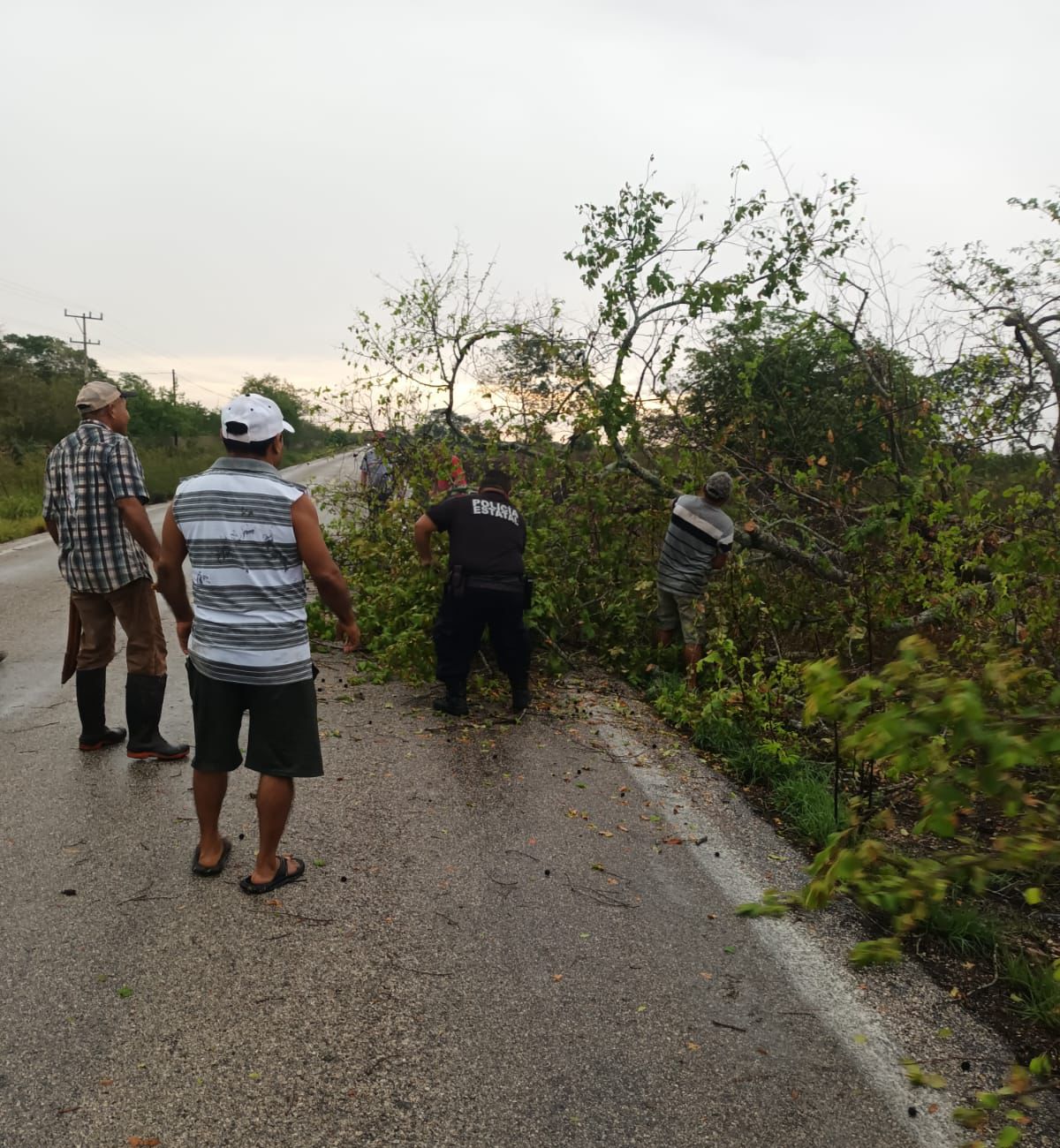 SSP atiende múltiples afectaciones por lluvia y vientos en Mérida y el interior del estado