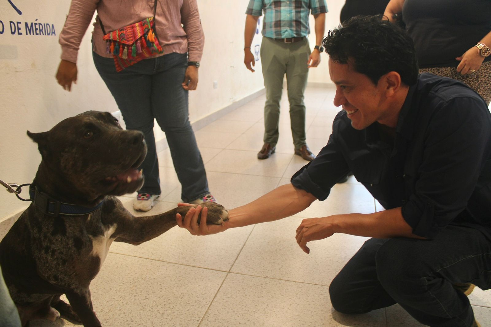 Zeus regresa a su hogar