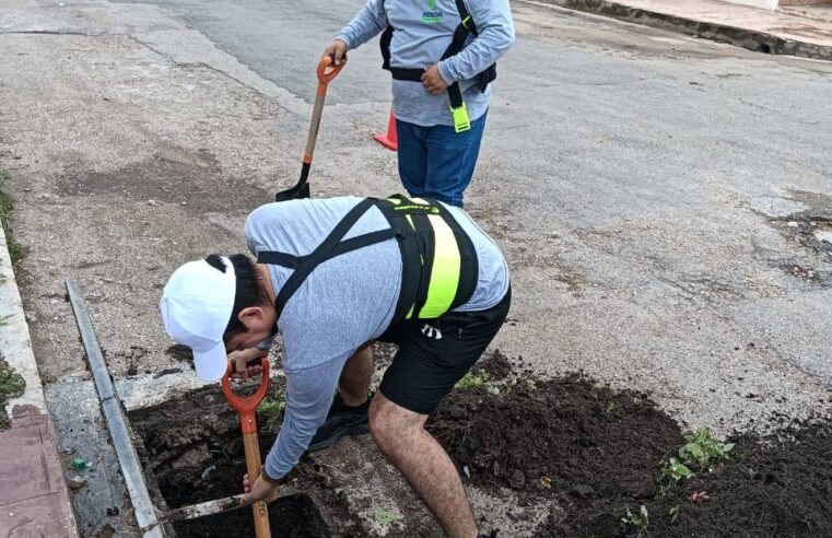 Cecilia Patrón saca el Ayuntamiento a la calle para atender afectaciones por histórica lluvia en Mérida