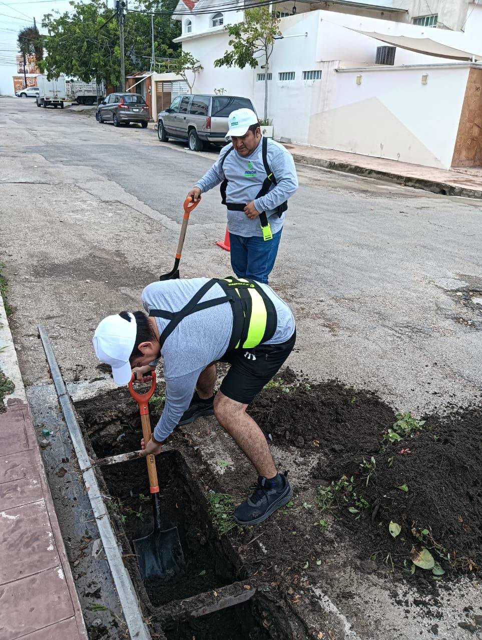 Cecilia Patrón saca el Ayuntamiento a la calle para atender afectaciones por histórica lluvia en Mérida