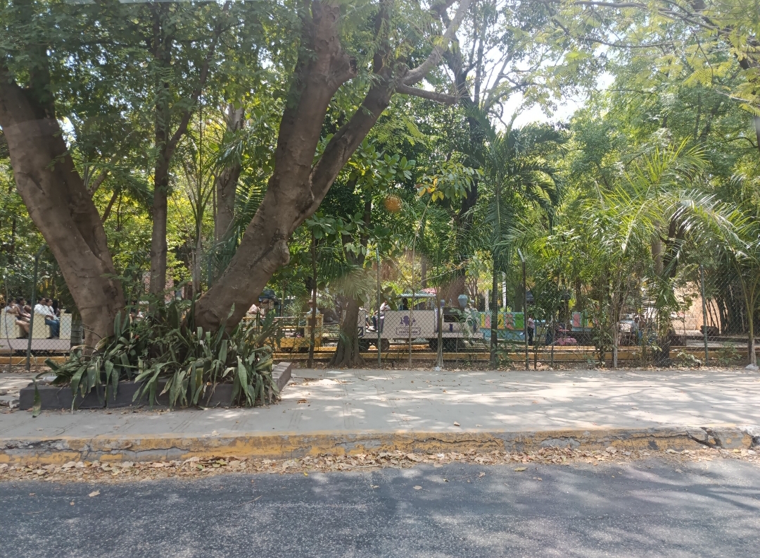 El trenecito del Centenario suspende servicio de manera indefinida… será sustituido