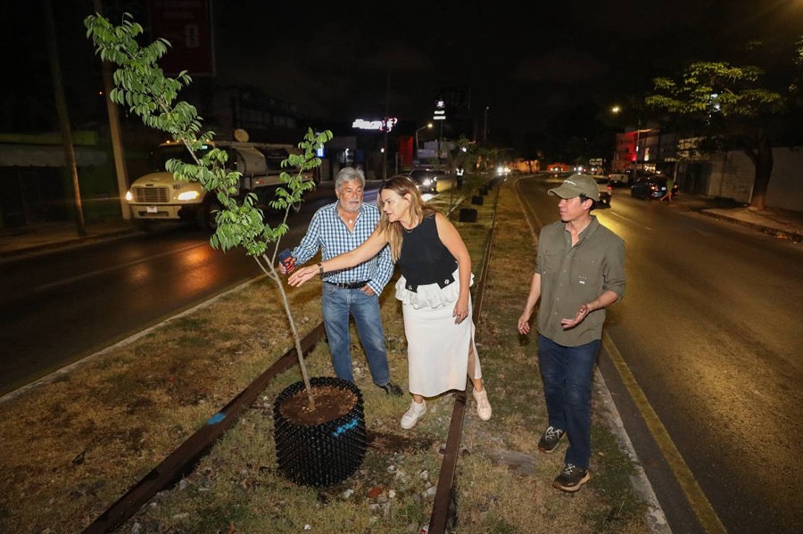 Circuito Colonias poniente amanece con nuevo rostro verde: Cecilia Patrón inicia la arborización