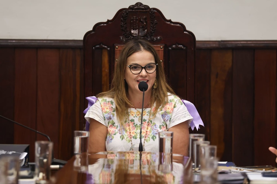 Cabildo de Mérida aprueba acciones para la inclusión, la salud mental y la cultura