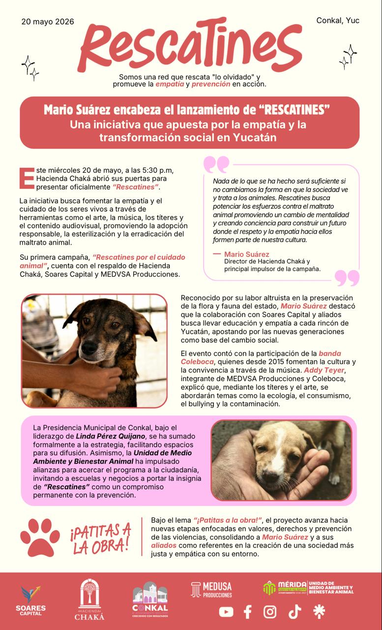 Surge Rescatines, brigada urbana para fomentar la empatía y el bienestar animal