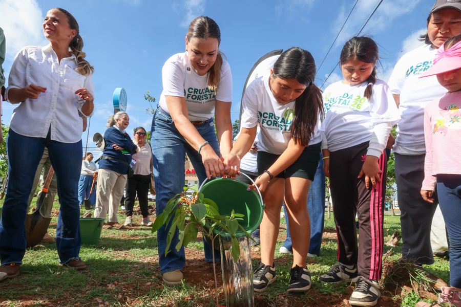 Inicia Cecilia Patrón la Cruzada Forestal 2026: Plantarán más de 8 mil 500 árboles