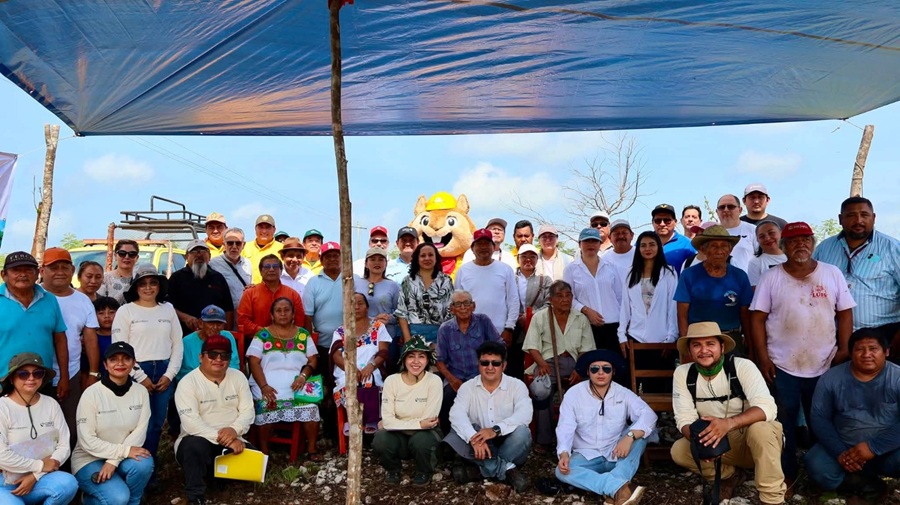 Conagua y Conafor restauran dos hectáreas de ecosistemas nativos en Yucatán con 400 árboles