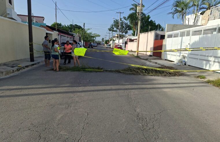 Bloqueos contra la CFE paralizan servicios y obligan a suspender hasta el Va y Ven