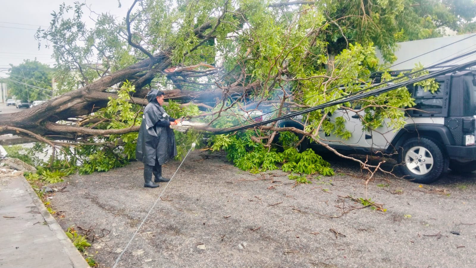 La SSP atendió múltiples afectaciones por la lluvia en Mérida y otros municipios