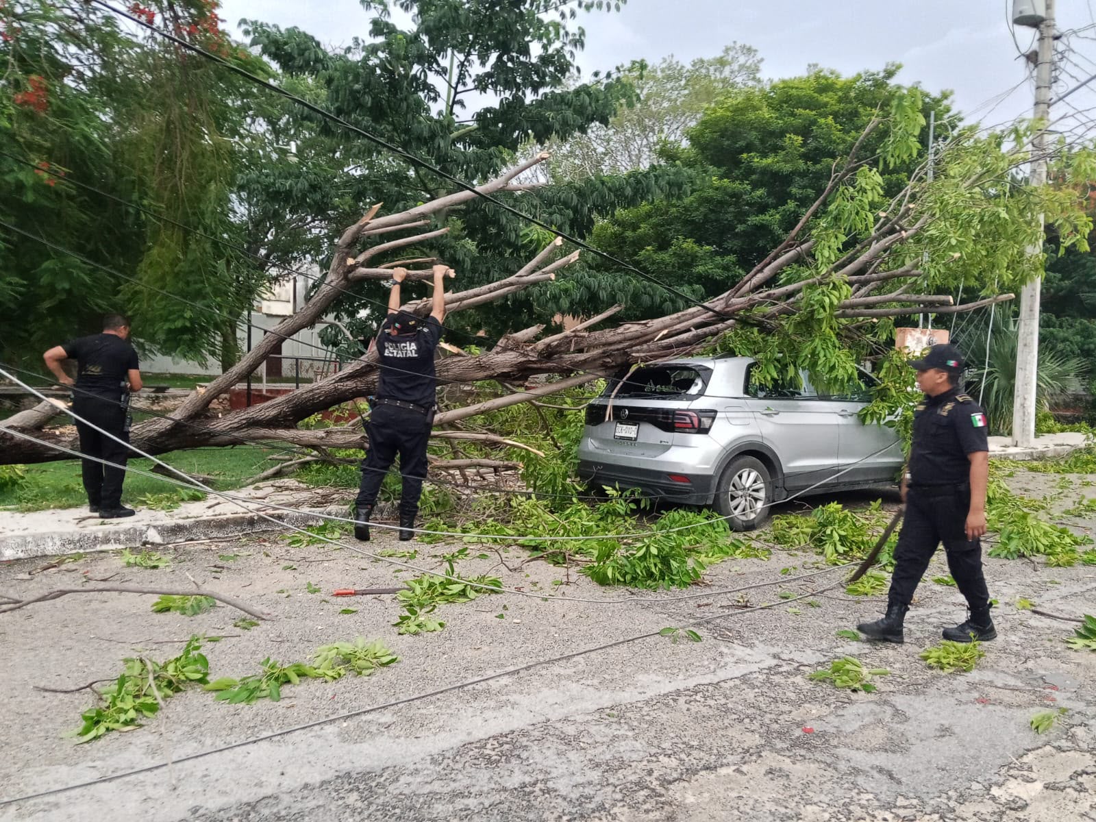 La SSP atiende 246 reportas tras la lluvia vespertina en Mérida y otros municipios