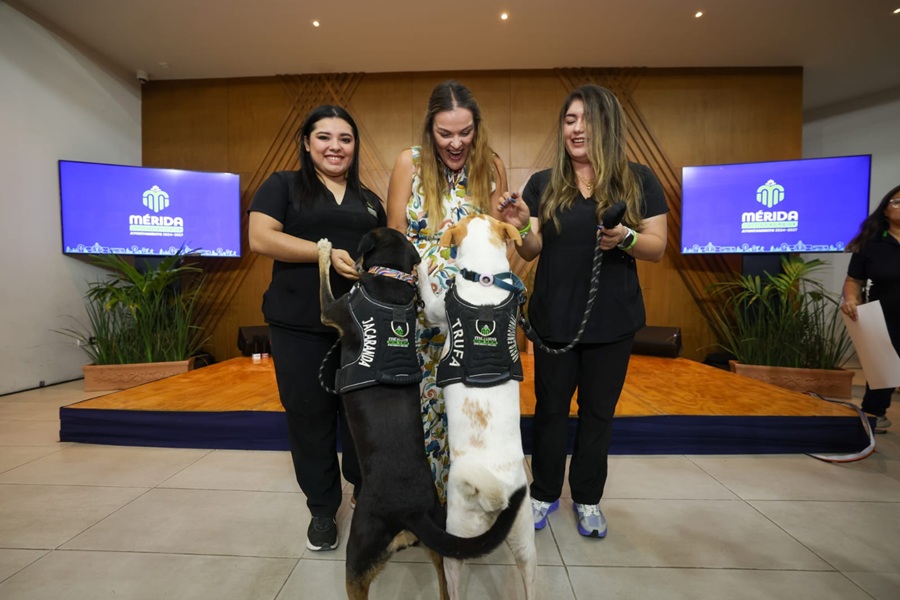 Más adopciones, más esterilizaciones y más acciones por el cuidado animal: Cecilia Patrón