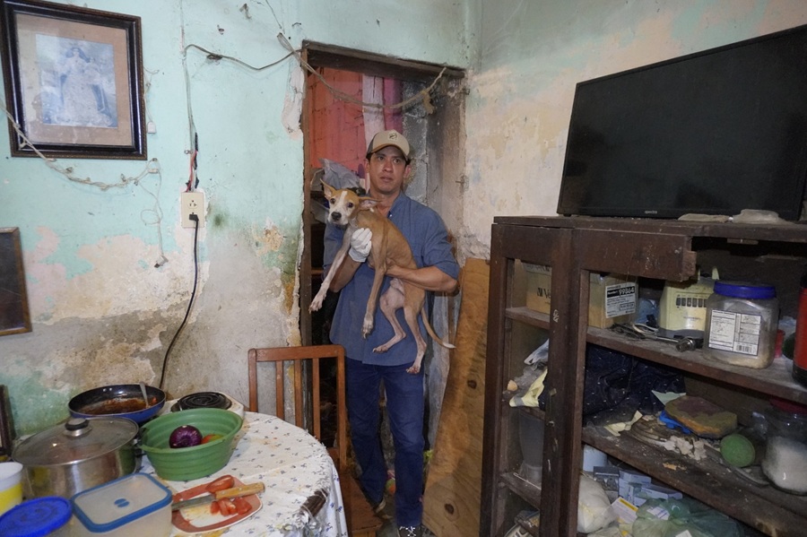 Rescatan 48 perros en condición crítica en el centro de Mérida